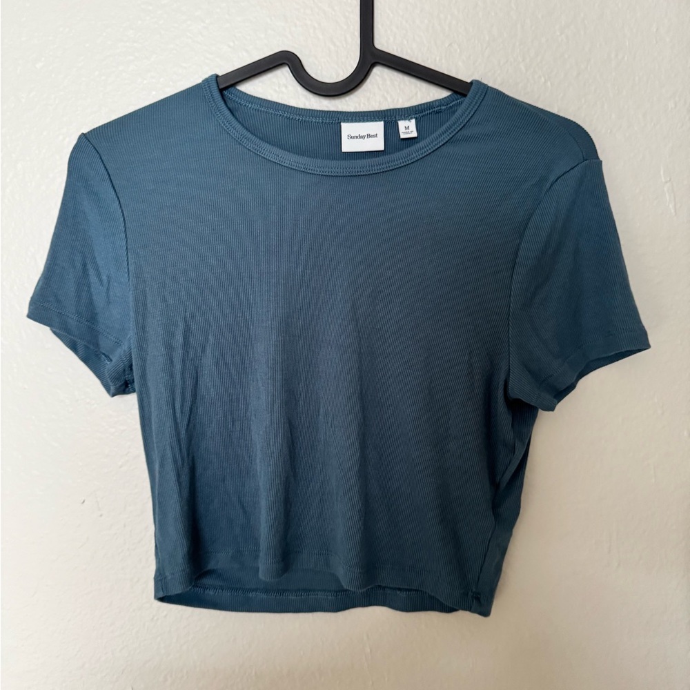 Aritzia Sunday Best Blue Fitted Crop Top
